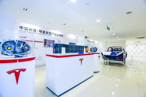 管中窥豹 上海超级工厂主题展登陆山城，揭秘特斯拉硬核科技与重庆心理咨询跨界融合