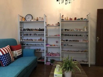 重庆专业心理咨询师介绍及收费标准