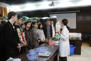 引领心理成长，成就青春梦想 重庆市大学生心理成长微课比赛暨青马工程大骨班学员心理健康培训圆满落幕